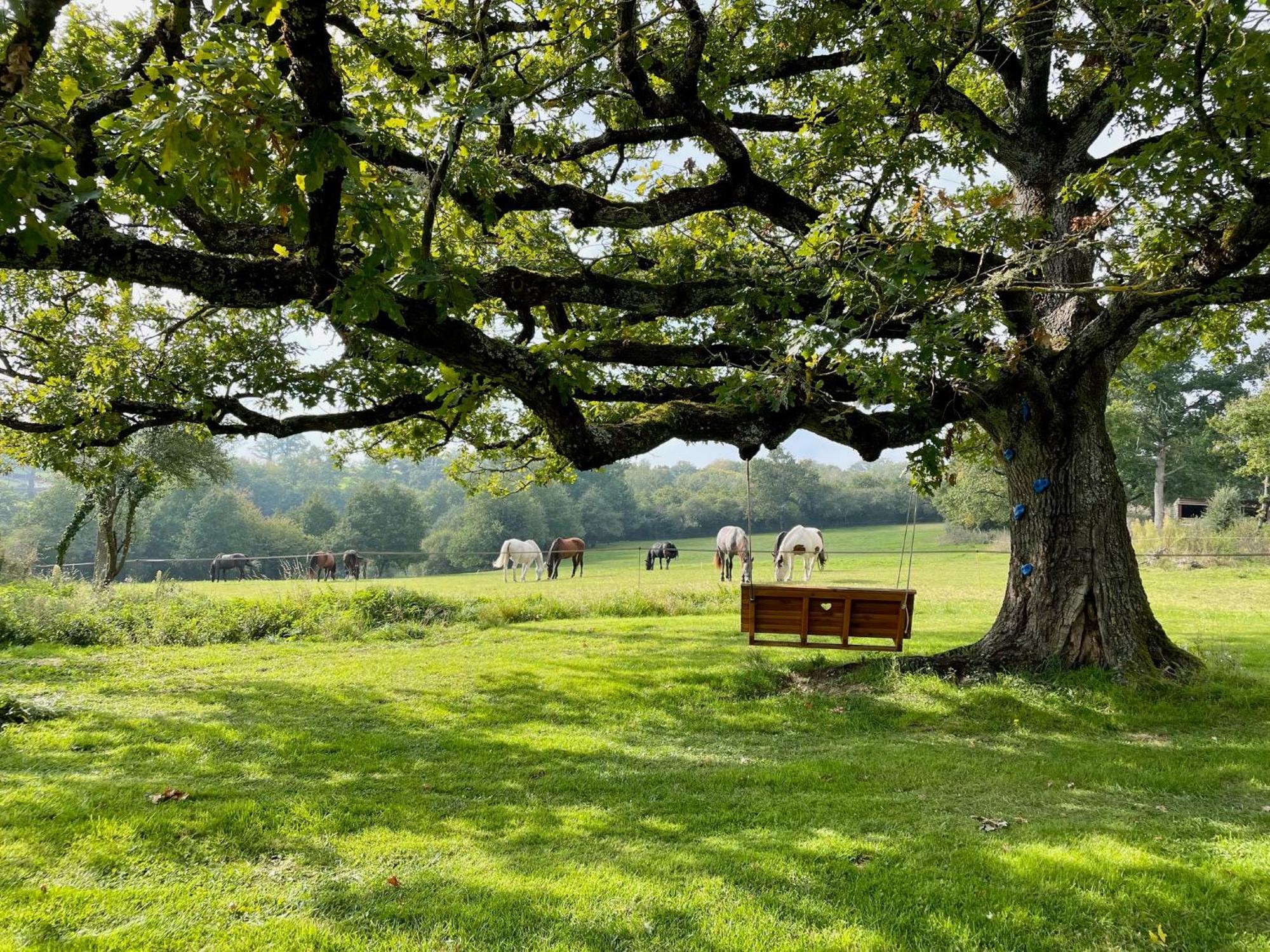 Вилла Domaine Le Rianon Malleret-Boussac Экстерьер фото