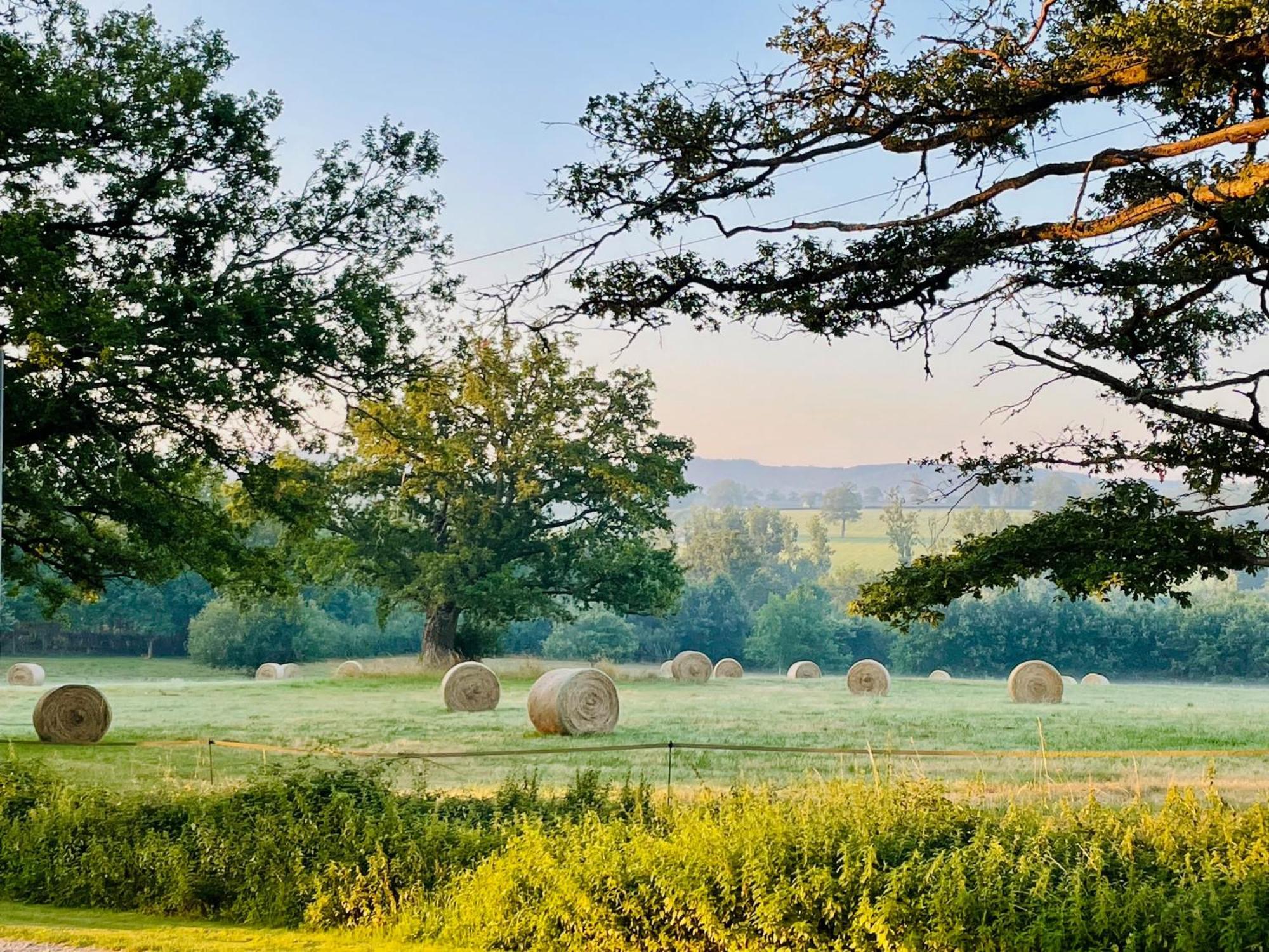 Вилла Domaine Le Rianon Malleret-Boussac Экстерьер фото