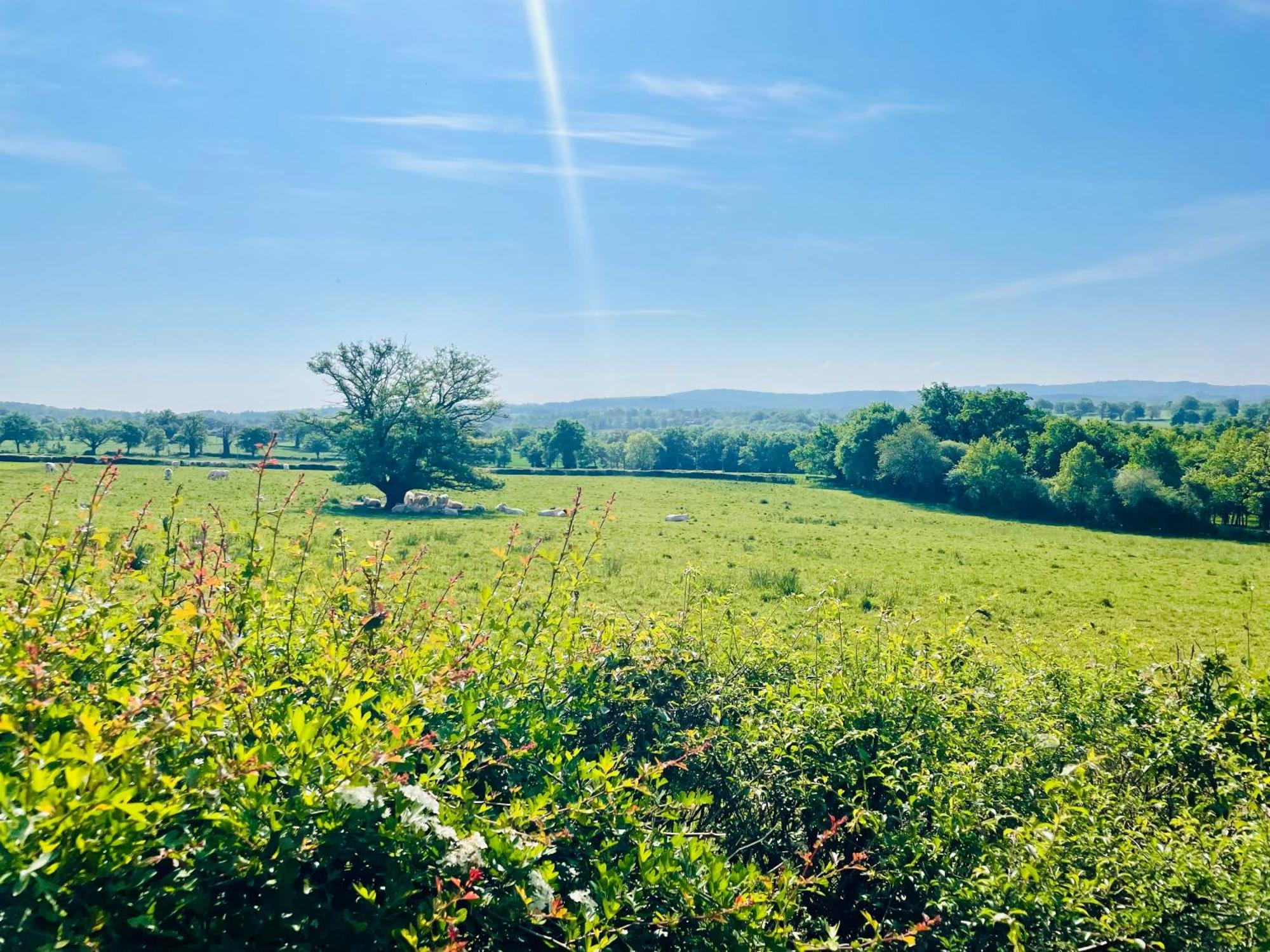 Вилла Domaine Le Rianon Malleret-Boussac Экстерьер фото